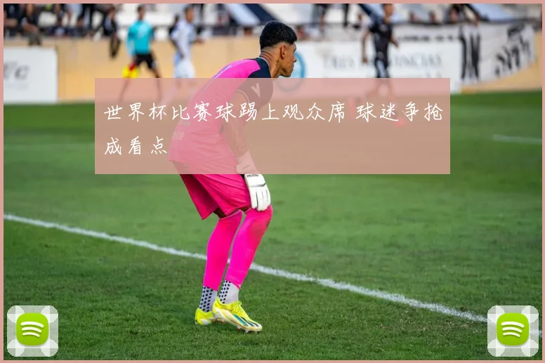 世界杯比赛球踢上观众席 球迷争抢成看点
