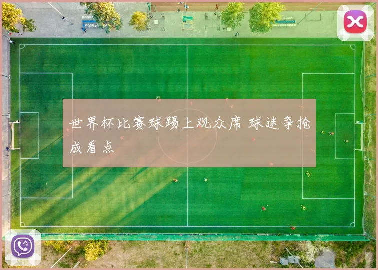 世界杯比赛球踢上观众席 球迷争抢成看点